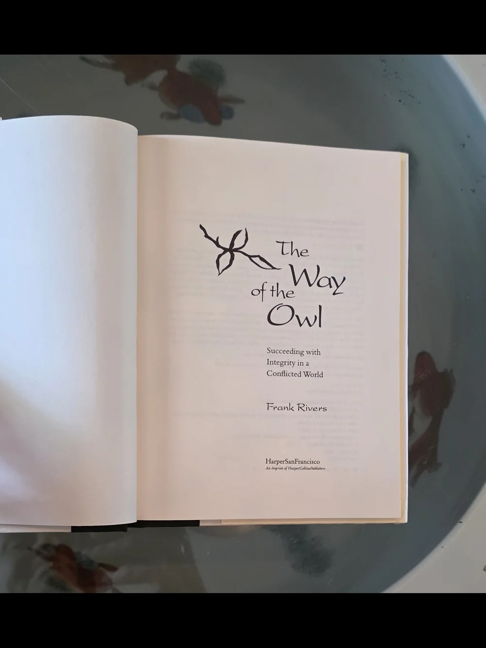 'The Way of the Owl' Hardcover - Blue & Cream